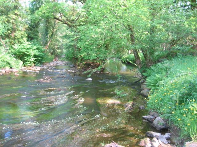 The Dales Bed & Breakfast Gorey Bagian luar foto
